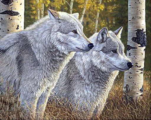 Diamond Dotz Diamond Painting Kit Forest Wolf Design 